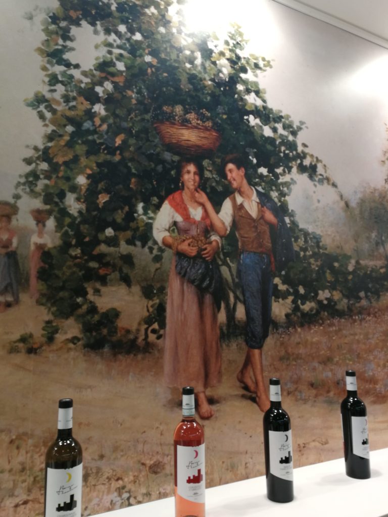 Vinitaly 5 Star Award